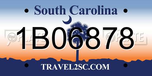 1B06878 South Carolina License Plate