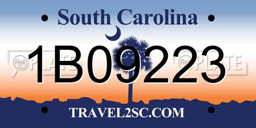 1B09223 South Carolina License Plate