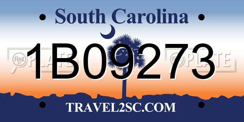 1B09273 South Carolina License Plate