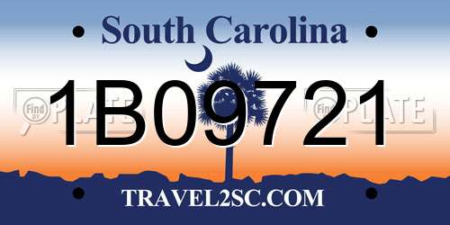 1B09721 South Carolina License Plate