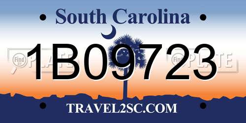 1B09723 South Carolina License Plate