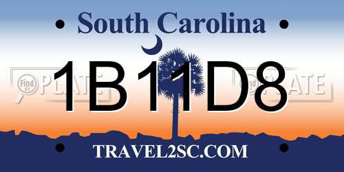 1B11D8 South Carolina License Plate