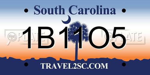 1B11O5 South Carolina License Plate