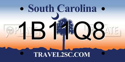 1B11Q8 South Carolina License Plate