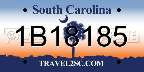 1B18185 South Carolina License Plate