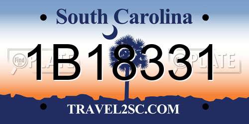1B18331 South Carolina License Plate