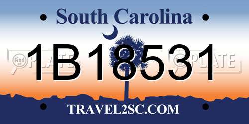1B18531 South Carolina License Plate