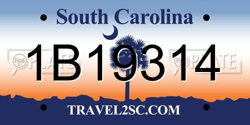 1B19314 South Carolina License Plate