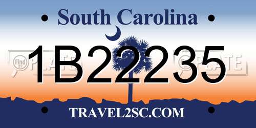 1B22235 South Carolina License Plate