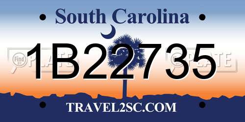 1B22735 South Carolina License Plate