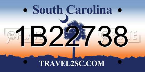 1B22738 South Carolina License Plate