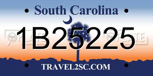 1B25225 South Carolina License Plate