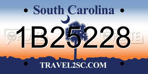 1B25228 South Carolina License Plate