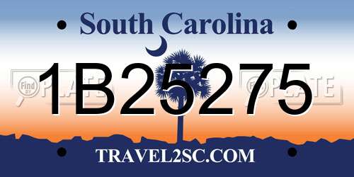 1B25275 South Carolina License Plate
