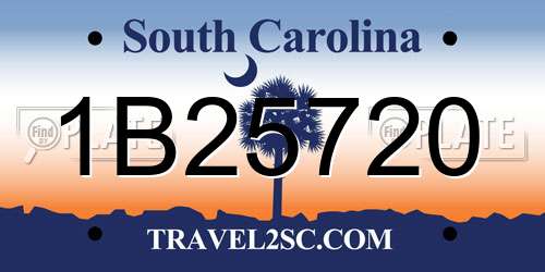 1B25720 South Carolina License Plate
