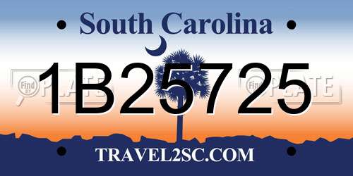 1B25725 South Carolina License Plate