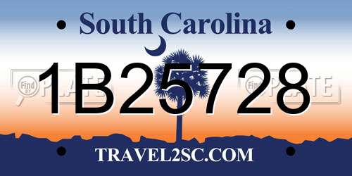 1B25728 South Carolina License Plate