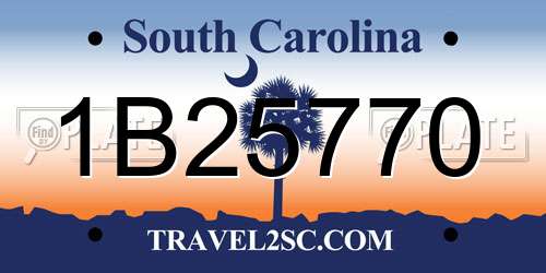 1B25770 South Carolina License Plate