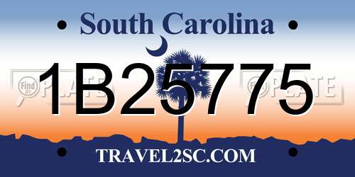 1B25775 South Carolina License Plate