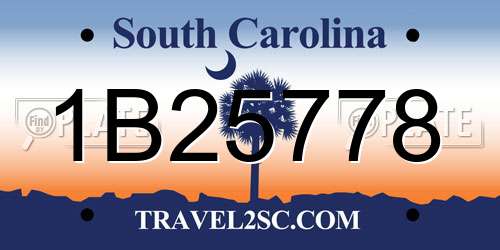 1B25778 South Carolina License Plate
