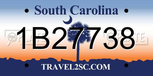 1B27738 South Carolina License Plate