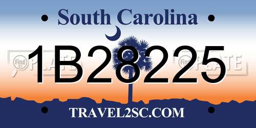 1B28225 South Carolina License Plate