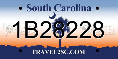 1B28228 South Carolina License Plate