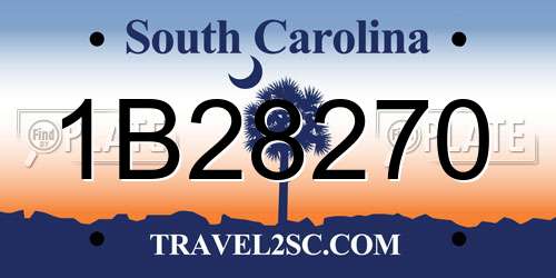 1B28270 South Carolina License Plate