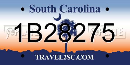 1B28275 South Carolina License Plate