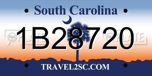 1B28720 South Carolina License Plate