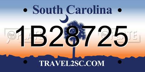 1B28725 South Carolina License Plate