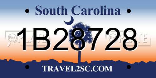 1B28728 South Carolina License Plate