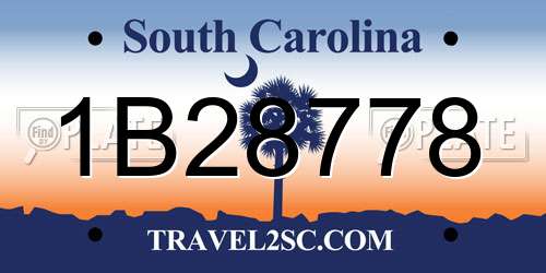 1B28778 South Carolina License Plate