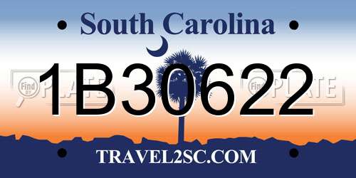 1B30622 South Carolina License Plate