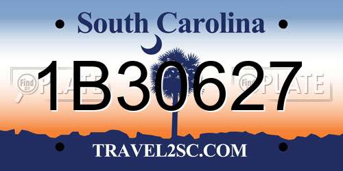 1B30627 South Carolina License Plate
