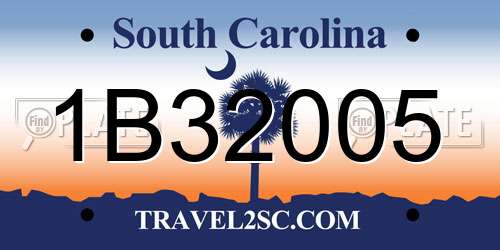 1B32005 South Carolina License Plate
