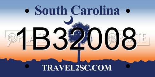 1B32008 South Carolina License Plate