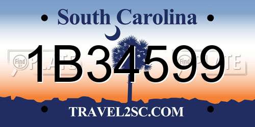 1B34599 South Carolina License Plate