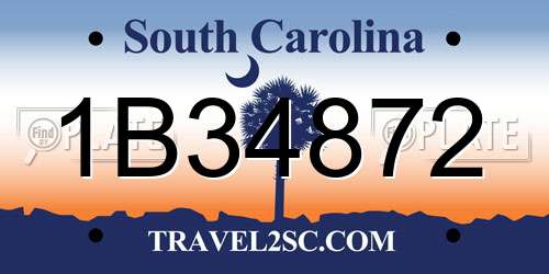 1B34872 South Carolina License Plate