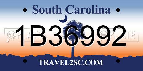 1B36992 South Carolina License Plate