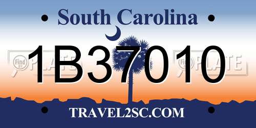 1B37010 South Carolina License Plate