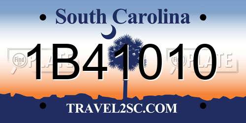 1B41010 South Carolina License Plate
