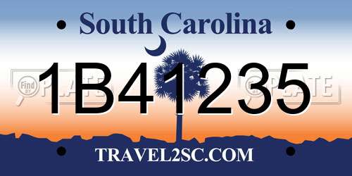 1B41235 South Carolina License Plate