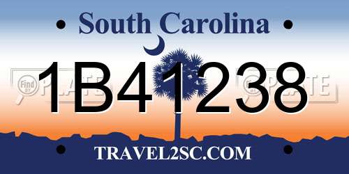 1B41238 South Carolina License Plate