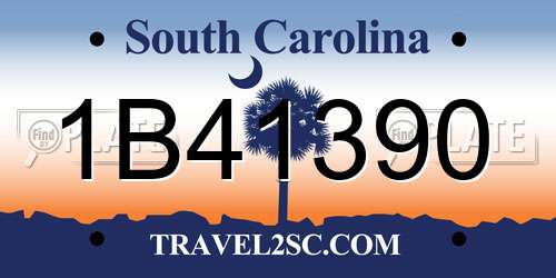 1B41390 South Carolina License Plate