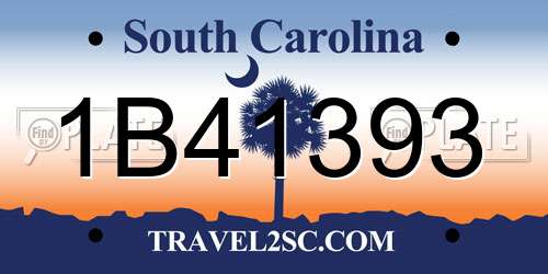 1B41393 South Carolina License Plate