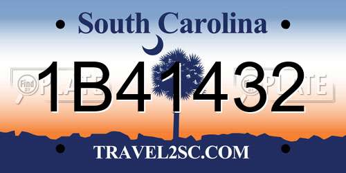 1B41432 South Carolina License Plate