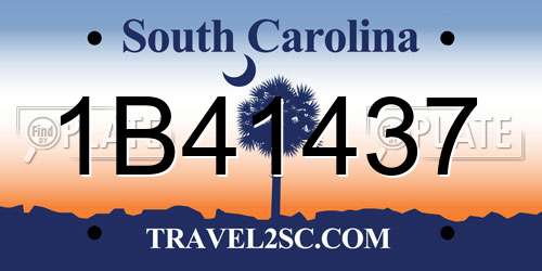 1B41437 South Carolina License Plate