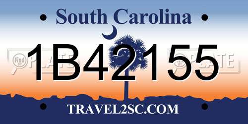 1B42155 South Carolina License Plate