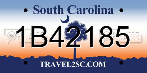 1B42185 South Carolina License Plate